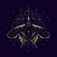 Transform - design