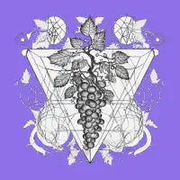 Un-Wine - design