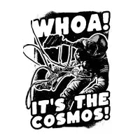 Whoa! It's the Cosmos! - design