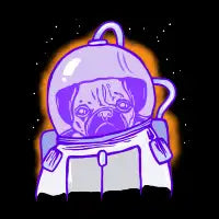 Intergalactic pug - design