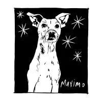 Maximo - design