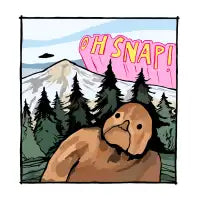 Oh Snap! - design