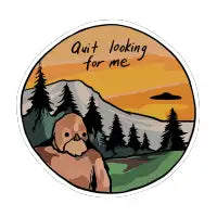 Quit looking for me - design