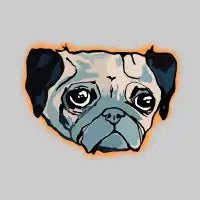 Rough! - design