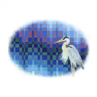 Great Blue Heron Bargello - design