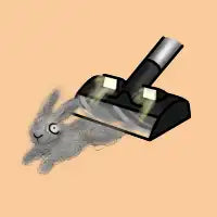 Dust Bunny - design