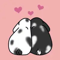 Perfect Pair - design