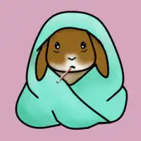 Sick Bun - design