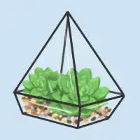 Succulent - design