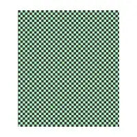 Mint Checkers Shoes - design