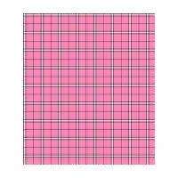Pink Plaid Shoes - design