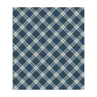 Plaid Blueberry Shoes - design