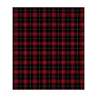 Red Plaid Check Shoes - design