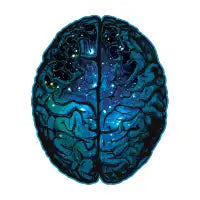 Cosmic Cranium - design