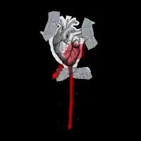 Paper Heart - design