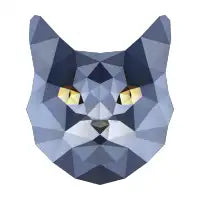 I am Just looking - design