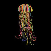 Rainbow jellyfish - design