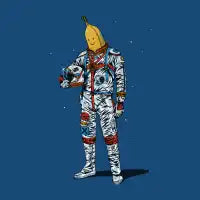 Space is Bananas - design