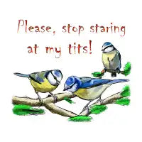 Bluetits - design