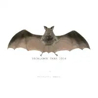 COMMON BAT - design