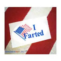 I Voted 2017 - design