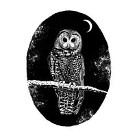 Spotted Owl - design