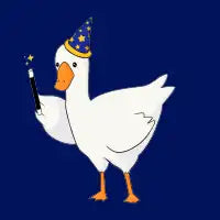 Wizard Goose - design