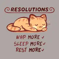 Resolution to Sleep - design