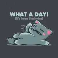 What a Day - design