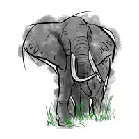 The Elephant - design