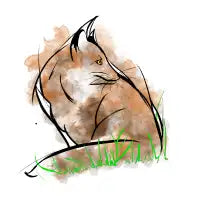 The Fox - design