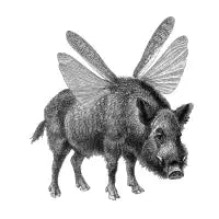 When Pigs Fly - design