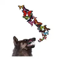 Wolfie - design