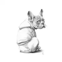Am I Cute? - design