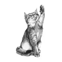 Kitten - design