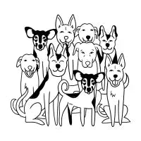 Pariah dogs - design
