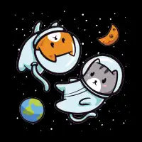 Space Kittens - design
