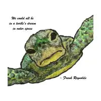 Turtle's Dream - design