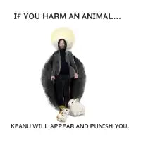Keanu - design