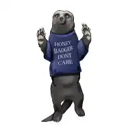 Kodiak’s shirt - design