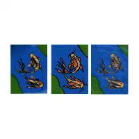 Koi - design