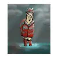 Rainpaca - design