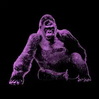 Gorilla - design