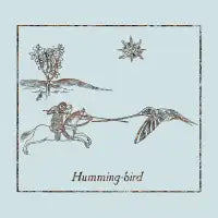 Hummingbird - design