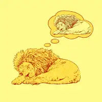 Lion - design