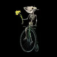 Uncle Daffodil - design