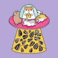 Sunflower Seed Abduction - design