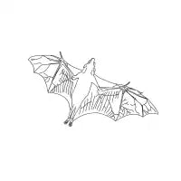 bat - design
