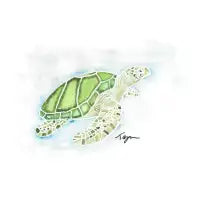 Green Sea Turtle - design