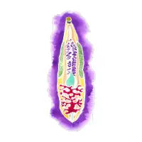 Liver fluke! - design